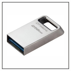Kingston DataTraveler Micro 256GB