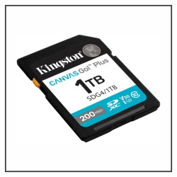 Kingston Canvas Go Plus SDXC 1TB