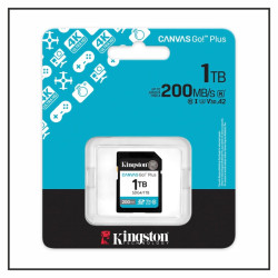Kingston Canvas Go Plus SDXC 1TB
